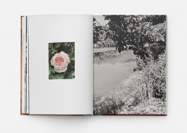 tino grass visuelle kommunikation köln design gestaltung studio tino grass