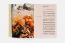 tino grass visuelle kommunikation köln design gestaltung studio tino grass