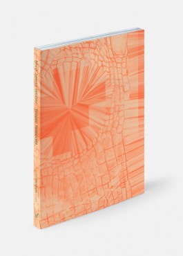 tino grass visuelle kommunikation köln design gestaltung studio tino grass