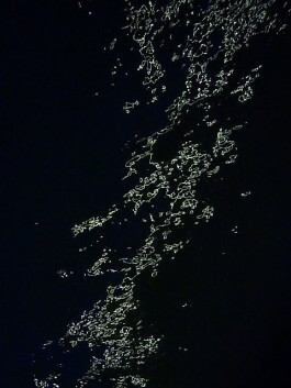 tino grass visuelle kommunikation köln design gestaltung studio tino grass 