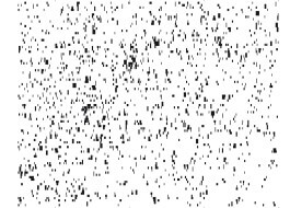 tino grass visuelle kommunikation köln design gestaltung studio tino grass