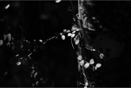 tino grass visuelle kommunikation köln design gestaltung studio tino grass 