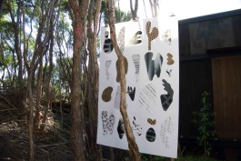 tino grass visuelle kommunikation köln design gestaltung studio tino grass 