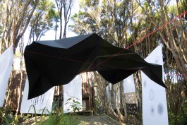 tino grass visuelle kommunikation köln design gestaltung studio tino grass 